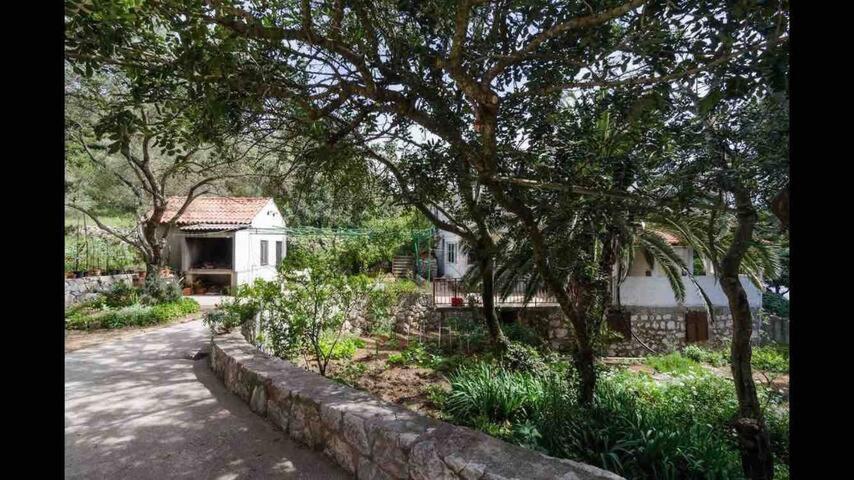 Villa Franic سابلونارا المظهر الخارجي الصورة